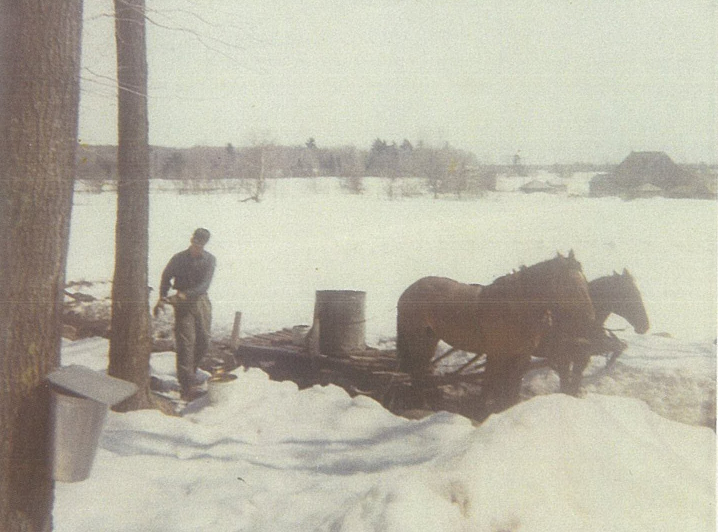 Picking up water with horses