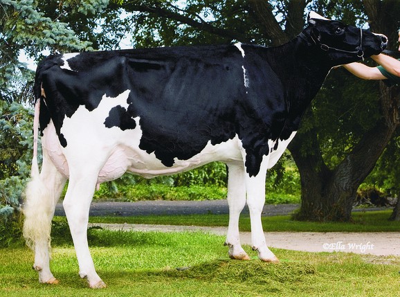 Benner Goldwyn Jamarco VG-87